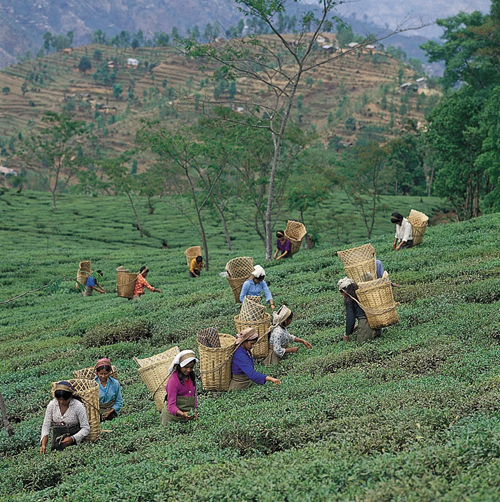 West Bengal